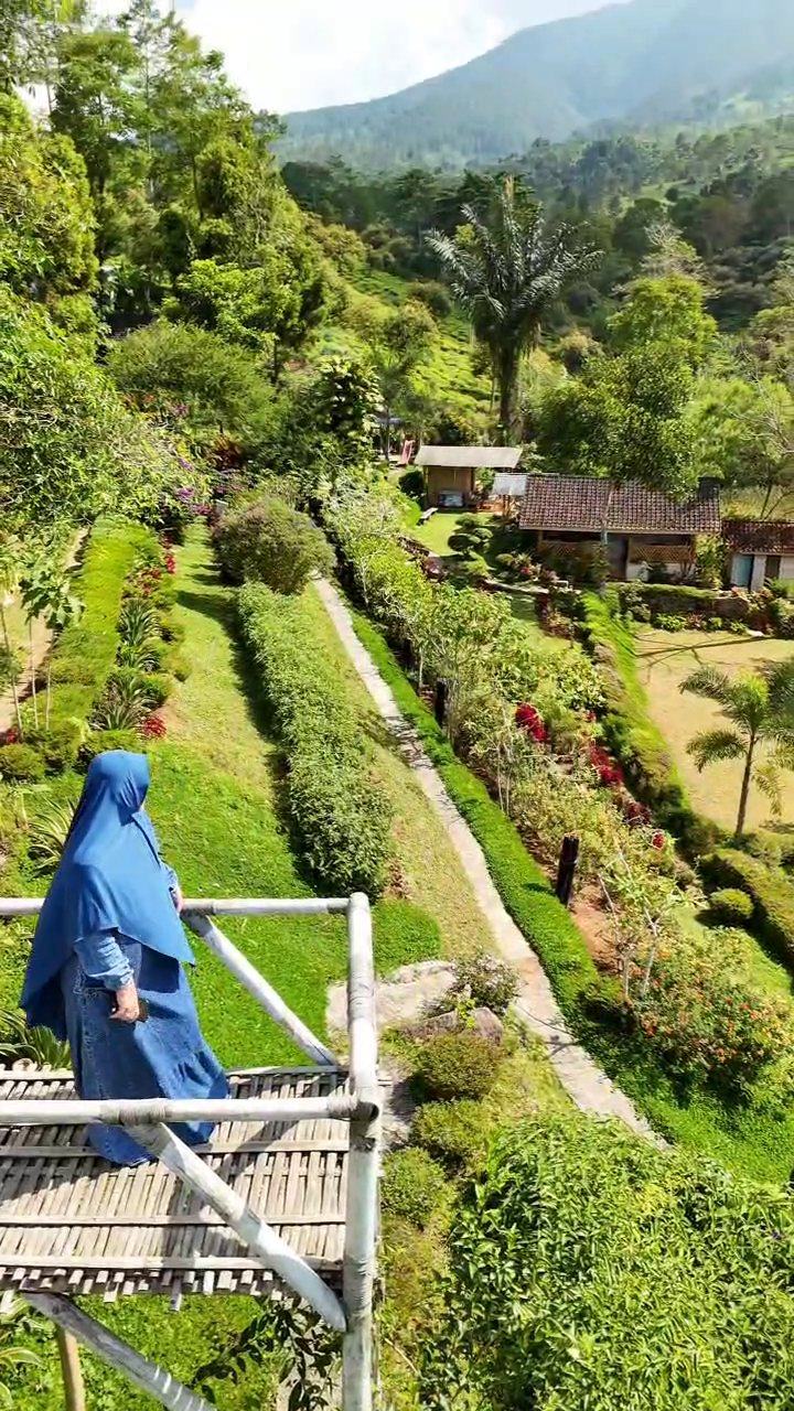 Taman bunga Hortensia Garden Dayeuhmanggung berlatar kebun teh