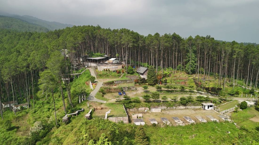 Lamping Cirorek di tengah hutan pinus dari udara