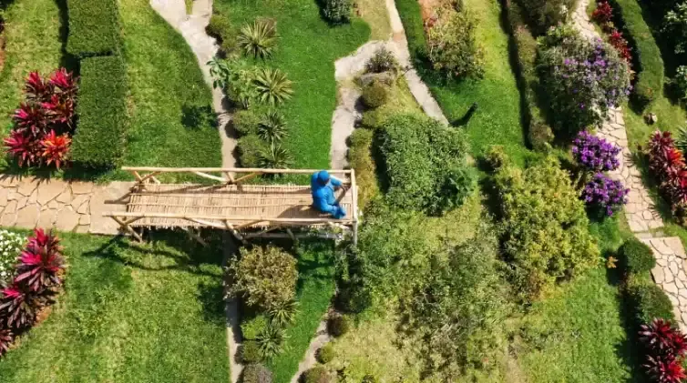 Kebun Teh Dayeuhmanggung