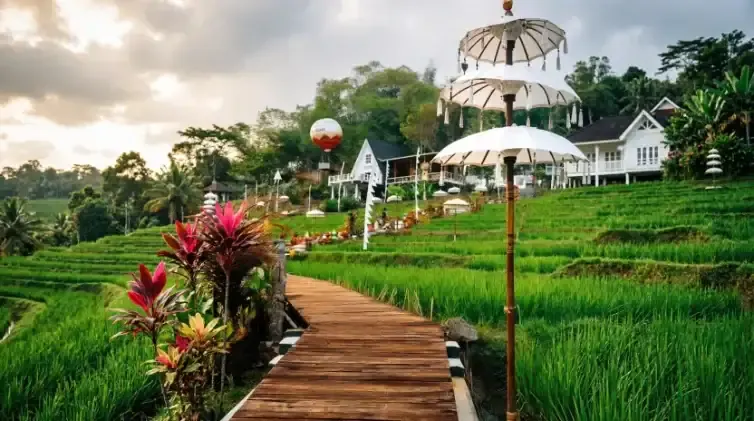 Danau & Jati