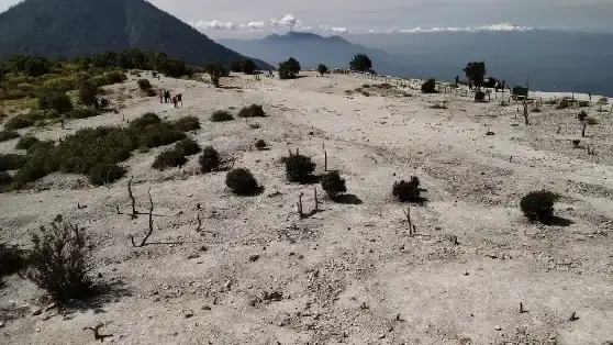 Hutan Mati Gunung Papandayan